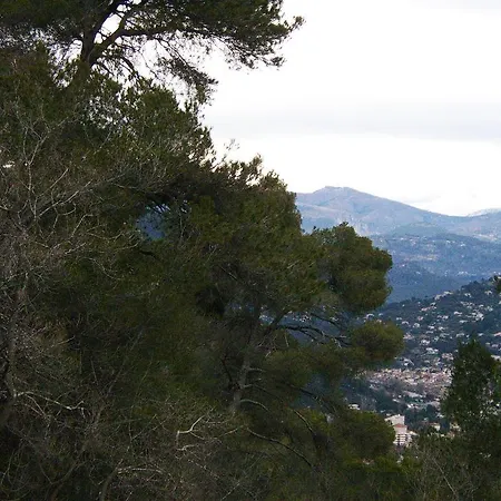 Les Lilas Blancs דירה *