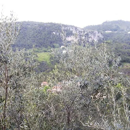 Les Lilas Blancs