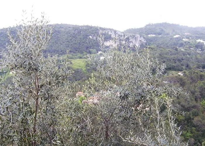 Les Lilas Blancs